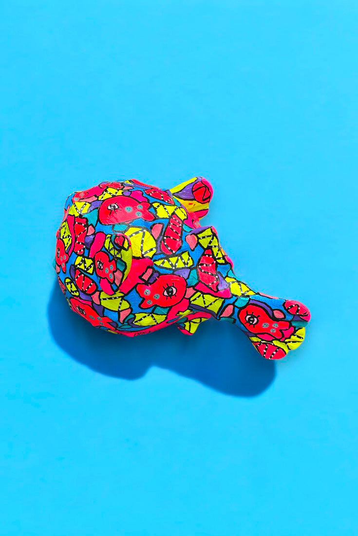 Poisson lumière