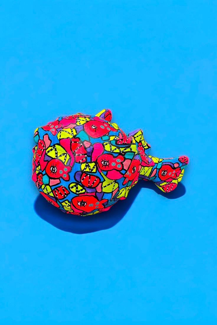 Poisson lumière