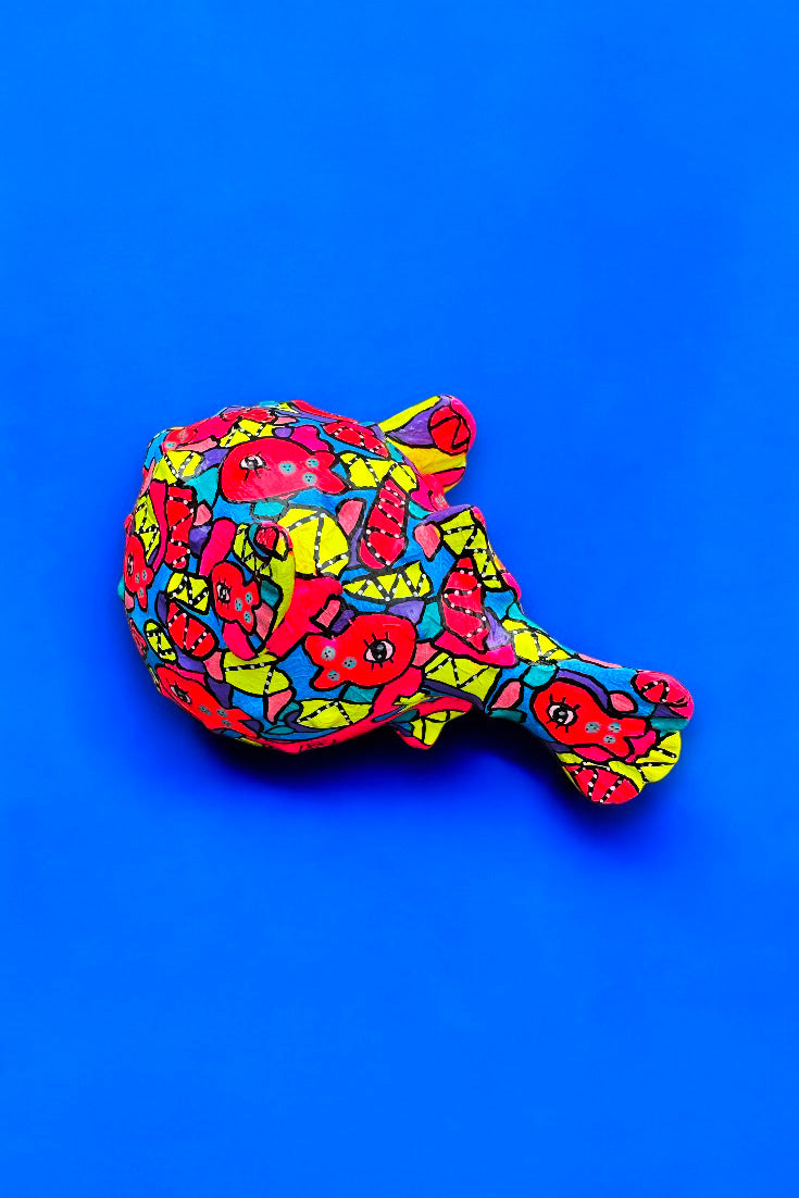 Poisson lumière